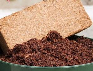Wholesale Quality Coconut Peat 5kg <b>Block</b> - Product Image 2