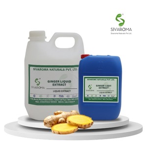 Extracto de Jengibre Líquido de Alta Calidad para Uso Industrial, Apto para Mezclas de Condimentos, Productos Culinarios y Necesidades de Fabricación - Product Image 2