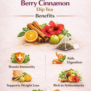 Berry Cinnamon Dip Tea Bags Natural <b>Wellness</b> Herbal High Nutrient Dried Extract Wholesale Global Shipment Business - Product Image 4