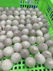 Lichi entero enlatado en almidón ligero – Certificado ISO/HACCP de Vietnam - Product Image 3