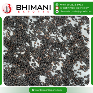 Semillas de Sésamo Negro Frescas de Primera Calidad, Grado Alimenticio, Exportación a Granel, 99.95% Limpias, Alto Contenido de Aceite, Sin OMG, Naturales, Indias, 1-3.5mm, 25/30/50kg - Product Image 4