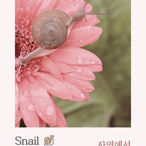 Crème Visage Coréenne à la Sécrétion d'Escargot Magique et à l'Acide Hyaluronique 100ml K-Beauty Estampage Or pour Tous Types de Peau Hydratant Nourrissant - Product Image 2