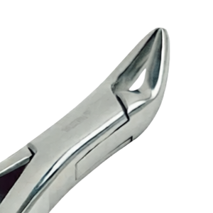 Pinzas de Extracción Dental # Instrumento Quirúrgico Manual de Extracción Dental de Acero Inoxidable 150A para Incisivos Superiores, Caninos y Bicáninos - Product Image 3