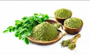 Ojistha Industries Polvo de Moringa 100% Puro, Superalimento Verde Rico en Nutrientes, 100 g - Product Image 3