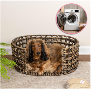 Lit pour animaux de compagnie portable en jacinthe d'eau tissé à la main, écologique, avec coussin amovible et lavable, rembourré en coton, utilisable toute l'année, fabriqué au Vietnam - Product Image 2