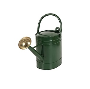Brass Watering Can for Gardening Durable Painted Finish Indoor Outdoor Plant Care Stainless Steel Watering Can - Product Image 4