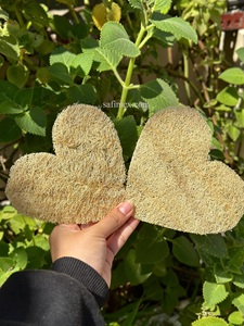 Depurador de lufa Natural de alta calidad, almohadilla de una sola capa, tamaño personalizable, embalaje OEM cultivado en granja de Vietnam, Exportación al por mayor - Product Image 5