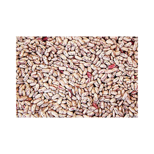 Haricots rouges de qualité supérieure largement utilisés, haricots rouges légèrement mouchetés en gros - Product Image 6