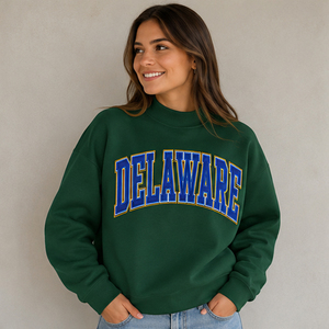 Sudadera de cuello alto personalizada gris para mujer de Delaware, jersey universitario de manga larga, estilo universitario, para el campus, el colegio, el espíritu del equipo - Product Image 2