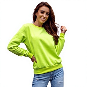 Sweat à capuche doublé brodé de style High Street pour femmes grande taille respirant manches côtelées printemps/été/hiver - Product Image 1