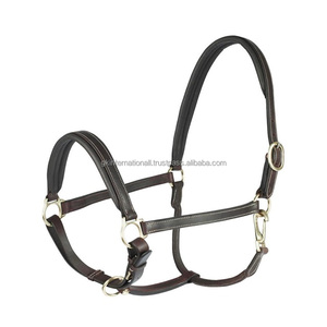Cabestro de caballo de cuero de acabado fino de larga duración, fabricante OEM estilo Color Material personalizado cuero caballo Halter y accesorios - Product Image 2