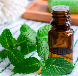 น้ำมันหอมระเหยเปปเปอร์มิ้นท์บริสุทธิ์ 100% สำหรับอโรมาเธอราพี บำรุงเส้นผม บำรุงผิว นวดตัว และใช้กับเครื่องกระจายกลิ่น รับผลิตแบบ OEM ODM ขายส่งจำนวนมาก - Product Image 1