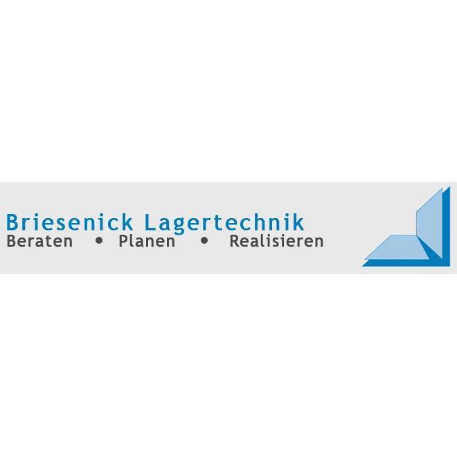 Briesenick-Lagertechnik logo