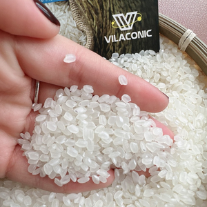 Riz japonica premium / Riz à grains courts et ronds du Vietnam - Product Image 6