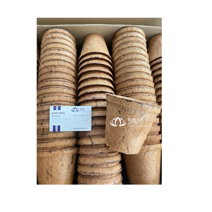 Maceta de Fibra de Coco Azul Lotus Moderna, Ecológica y Sostenible, con Alta Retención de Agua, para Plántulas, Exportación y Venta al Por Mayor - Product Image 1