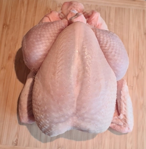 Pollo Congelado Fresco de Primera Calidad al Mejor Precio al por Mayor, Pollo Entero Congelado al Mejor Precio en Stock, Precio Económico - Product Image 1
