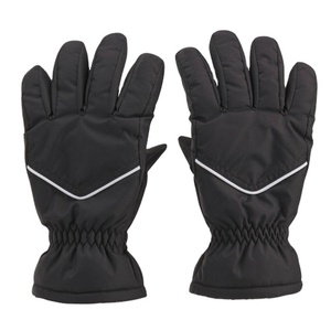 The Best <b>Ski</b> <b>Gloves</b> Customized Logo Nylon Palm Leather Gripped Fleece Inner Side Waterproof Skating Skiing <b>Ski</b> <b>Gloves</b> - Product Image 1