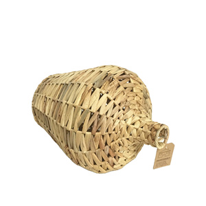 Flower Water Hyacinth Modern Vase - Product Image 3