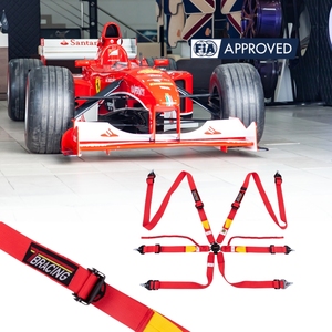 OEM Custom Logo Factory FIA Approved Racing Harness Lightweight Structure 2 Inch Real Motorsport <b>Applications</b> Combining - Product Image 2