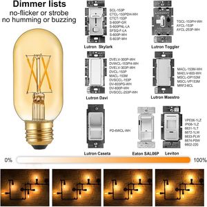 Lampadina LED Edison Dimmerabile AC120V 400lm 6W Equivalente, Bianco Caldo 2200K Ambra, Attacco E26 Tubolare T14 T45, Sostituzione per Lampadine LED da 60 Watt - Product Image 2