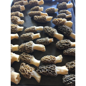 เห็ดมอเรลป่าแห้งเกรดส่งออก ยี่ห้ออีสต์ นาทูร์ฮัส สำหรับผู้ซื้อและเชฟชาวต่างชาติ - Product Image 2