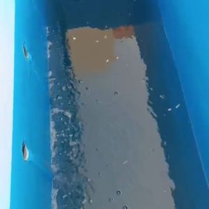 Station d'épuration compacte 50 KLD, système MBBR, équipement de traitement des eaux usées domestiques avec pompe et réservoirs de filtration - Product Image 3