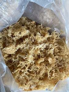 <b>Dried</b> Laver Seaweed Chopped 10-20cm Natural Salted Mineral Rich Bulk 0.1-0.5kg Ca Mau GOOD Brand Vietnam Midu Shelf Life 12 - Product Image 4