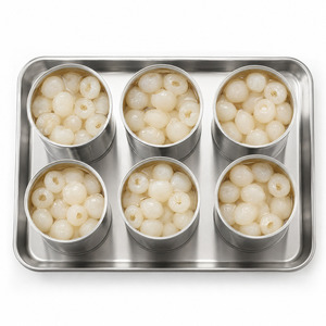 Longan Delicioso en Lata, el Más Vendido, con la Mejor Tarifa, Certificado ISO, Suministrado por Fabricante Vietnamita, Empacado en Lata A10 - Product Image 3