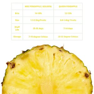 Ananas frais biologiques doux et sucrés en gros, haute qualité, longue durée de conservation, provenant du Vietnam central - Product Image 4