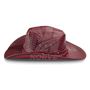 Sombrero de vaquero cómodo y a la moda para exteriores, diseñado para uso práctico y con un estilo elegante. - Product Image 2