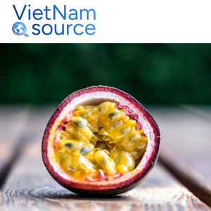 Fruit de la passion de haute qualité-Fruit de la passion au goût de pulpe jaune rafraîchissante de l'usine du Viet Nam-pour les desserts de jus et les smoothies - Product Image 2
