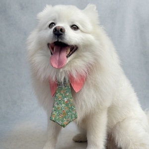 Cravate pour chien en soie de qualité supérieure, technique Tango-Chirimen, tissu texturé haut de gamme, vert japonais profond (S) (M) (L) (XL) - Product Image 4