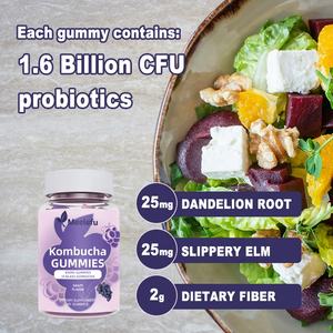 OEM/ODM โปรไบโอติก <span class=keywords><strong>Kombucha</strong></span> Gummy กับพรีไบโอติก, โปรไบโอติก, อาหารเสริมไฟเบอร์, เอล์มลื่น, รากดอกแดนดิไล, น้ำมัน MCT สำหรับลำไส้ - Product Image 2