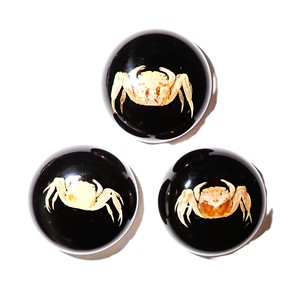 <b>Crab</b> Real Specimen Plastic Cabochon Round 25x25 mm Black Flat Bottom for Crafts and Jewelry Making - Product Image 1