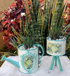 Bidon d'eau galvanisé imprimé en émail de qualité supérieure avec de beaux motifs de fleurs pour un décor saisonnier et un entretien quotidien des plantes - Product Image 2