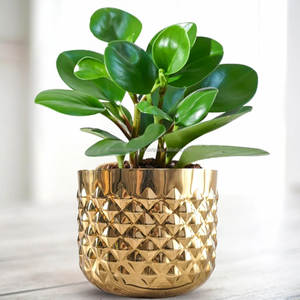 Luxury Metal <b>Pineapple</b> Texture Plant Pot Elegant Decorative Flower Planter for Living Room Balcony Office - Product Image 6