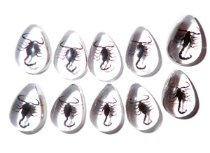 Cabochon Black Scorpion Pear Shape cut <b>top</b> 25x17 mm Clear Flat Bottom for Crafts and Jewelry Making - Product Image 1