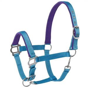 Cabestro de nailon azul para caballo con acolchado morado y hebillas metálicas - Product Image 1