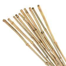 Bastón de bambú de alta calidad Material de bambú natural ecológico al por mayor de Vietnam Exportación directa de fábrica - Product Image 6