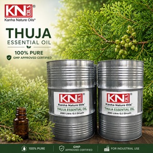 Aceite Esencial de Thuja de Grado Industrial (Thuja occidentalis), Fabricante a Granel, Certificado Orgánico, Grado Cosmético, Exportador Global - Product Image 3