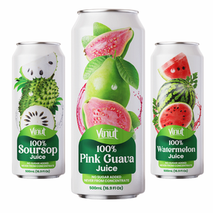 100% Bebida de jugo de frutas con pulpa 500ml Variedad de sabores, sin azúcar, Etiqueta Privada, OEM/ODM, precio de fábrica Vietnam - Product Image 1