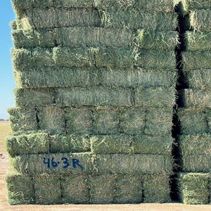 Heno de alfalfa rico en nutrientes disponible a granel, heno de alfalfa fresco para alimentar a caballos, vacas y animales pequeños de granja de forma segura. - Product Image 2