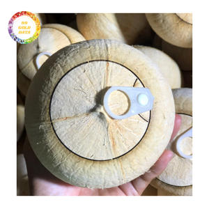 High Quality <b>Fresh</b> Young <b>Coconut</b> Whole Green <b>Coconut</b> for Juice Use Wholesale and Global Shipment - Product Image 3