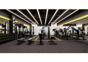 Design di Palestra Funzionale SK con Zone Dedicate per Allenamento Cardio, Forza e Attrezzature per Fitness Funzionale - Product Image 4