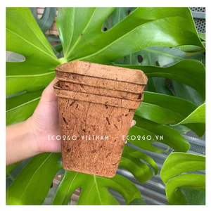Maceta de Fibra de Coco 100% Natural Biodegradable con Orificio de Drenaje, Autorriego, Ligera, Duradera y Ecológica para Hogar y Jardín - Product Image 5