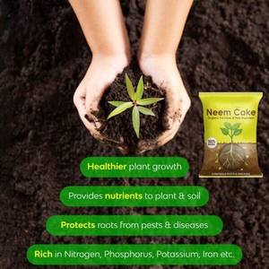 เม็ดน้ำมันสะเดาออร์แกนิคขนาด 4 มม. ขายส่งสำหรับการเกษตร ปุ๋ย NPK ปลดปล่อยช้า พร้อมกรดฮิวมิก จากผู้ผลิตโดยตรง - Product Image 4