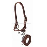 Halter en cuir de cheval arabe avec chaîne.