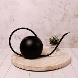 Arrosoir professionnel pour jardinage, arrosoir élégant pour plantes, arrosoir en fer de qualité supérieure - Product Image 5