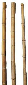 Vietnam Factory Supply Bamboo <b>Poles</b> Bamboo Stake Bamboo Sticks <b>For</b> Plant - Product Image 2