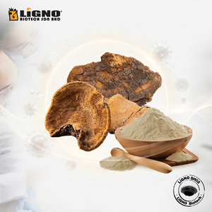 IGNO SH02 Poudre de Sang Huang biologique certifiée Halal/Kosher, séchée à froid, à spectre complet, de qualité alimentaire, pour la santé et le soutien immunitaire - Product Image 1